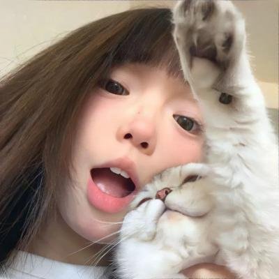 金式森林